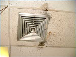 mold around ceiling vent
